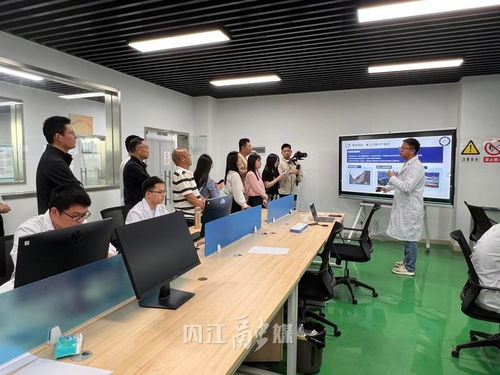 從“一”到“百” 內江以技術咨詢為雨露，讓創新種子長成產業森林